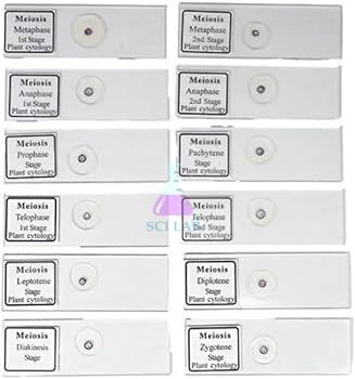 Laboratory Meiosis Slide Set (12 Pieces)